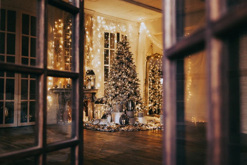 Christmas Lighting & Statues