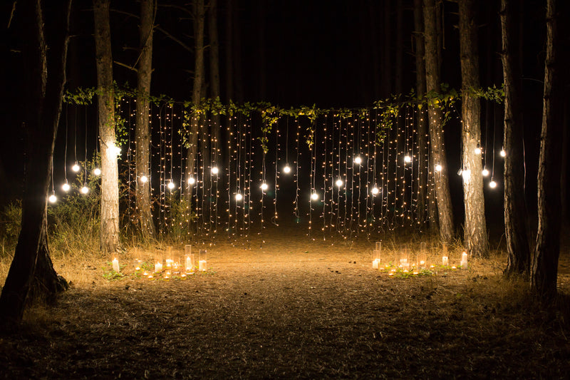 Fairy Lights & Decorative