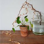 Gold Leaf Fairy Lights